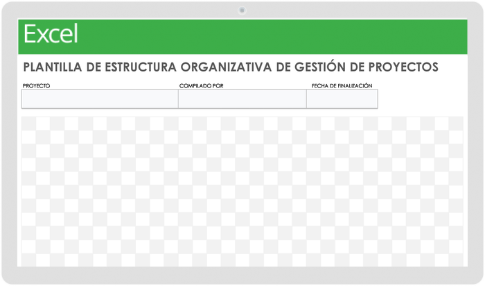 Plantilla de estructura organizativa de gestión de proyectos