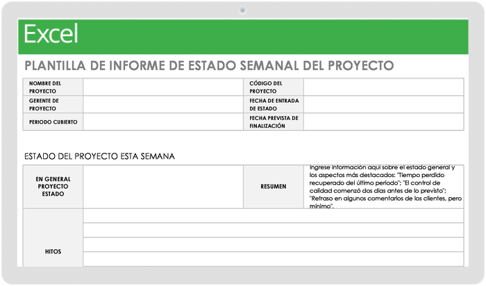 INFORME SEMANAL DEL ESTADO DEL PROYECTO